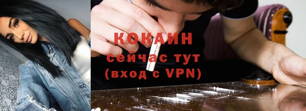 трава Арсеньев
