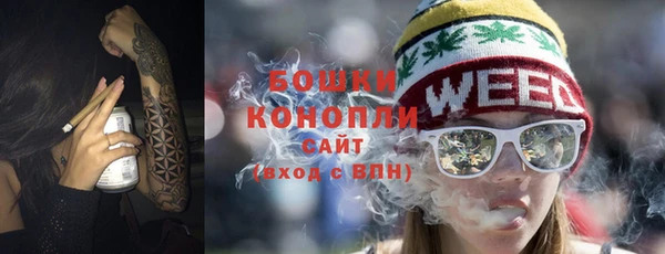 трава Арсеньев