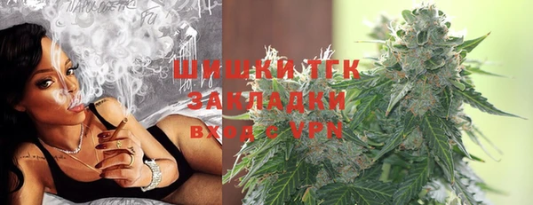 PSILOCYBIN Балабаново